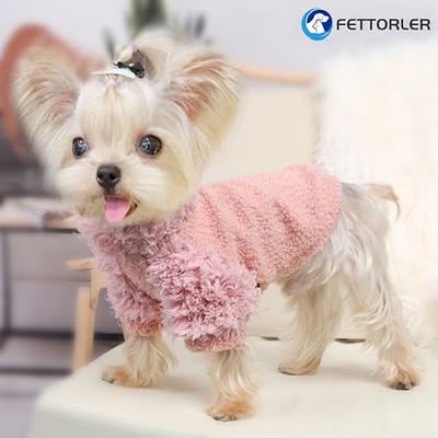 Dog Clothes & Accessories