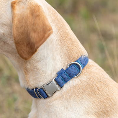 Vibrant Life Solid Nylon Dog Collar with Metal Buckle, Blue, Medium 