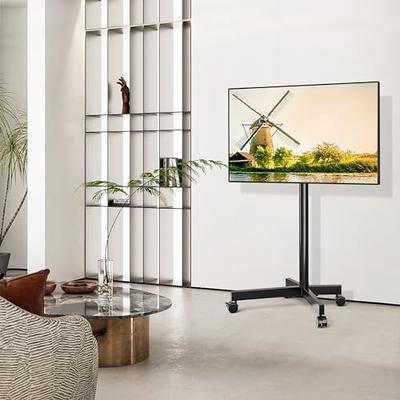 5Rcom Soporte de TV rodante, soporte de TV portátil con Apple TV/Roku Ultra  Mount para TV de pantalla plana de 23 a 60 pulgadas, soporte de TV móvil