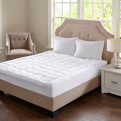 Hygea Natural Luxurious Bed Bug Mattress Cover- Twin Size