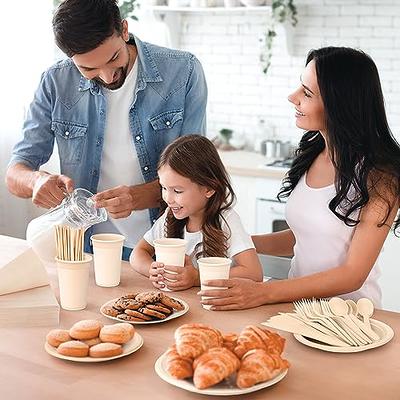 250 Piece Compostable Paper Plates Set with Extra Long Utensils