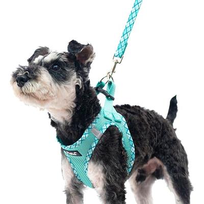 Step in Dog Harness and Leash Set Reflective Mesh Pet Cat Puppy Chest Strap  S-XL