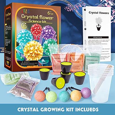 Crystal Growing Kit for Kids, Science Kits for Kids Ages 8-12, Crystal  Science Experiments Toys, DIY STEM Projects Educational Toys Gifts for Boys