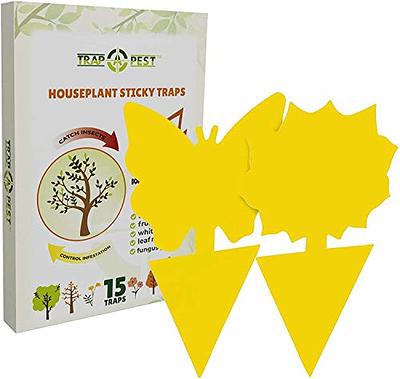 Yellow Sticky Bug Traps Sticky Fruit Fly Gnat Trap Mosquitos,Fungus Dual  Sided Glue Insect Catcher to Control Bugs Indoor Outdoor for White Flies,  Aphids and Flying Pests in Potted Plants Trap Catcher 