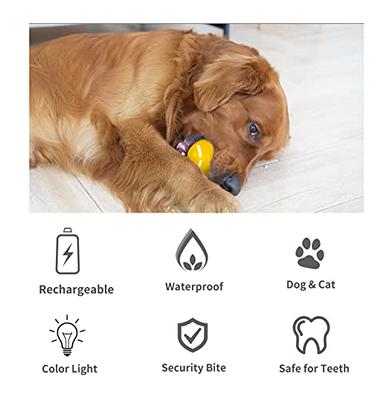 IFurffy Peppy Pet Ball for Dogs with Remote Control, Interactive Dog Toy  with Led Flash Lights for Small/Meduium/Large Dogs Breed, Durable Wicked  Ball