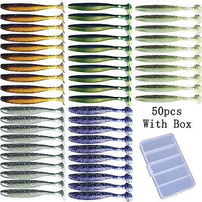  SYMEINA 100pcs Paddle Tail Swimbaits Lures, Soft Plastic  Fishing Lures Kit, 2.75 Bass Fishing Bait for Freshwater and Saltwater  with Box : Sports & Outdoors