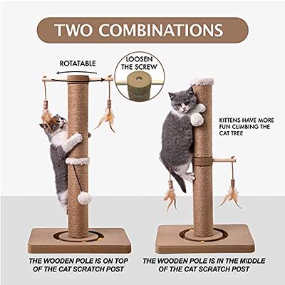MECOOL Cat Scratching Post Kitten Scratcher Premium Tall Scratch Posts with  Tracking Interactive Toys and Dangling Ball for Indoor Cats - Yahoo Shopping