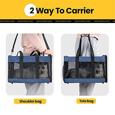 SECLATO Pet Carrier Airline/TSA Approved Small Dogs, Kitten, Carriers for  Small Medium Cats Under 15lb, Collapsible Soft Sided Cat Travel Carrier-Grey