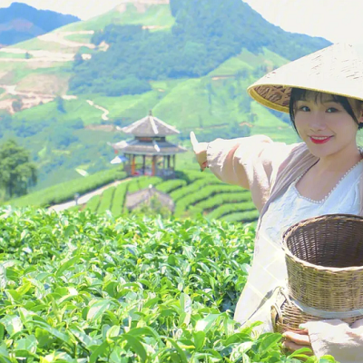 阿妹精選好茶（凌雲閣）