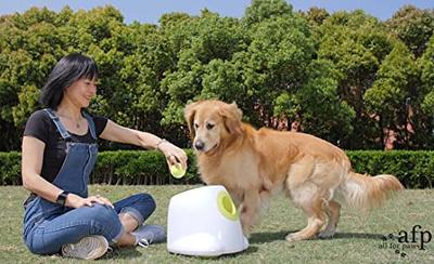 Salodal Treat Dispensing Dog Toys 6.25 Ball,1.7L Dog Food Dispenser Toy  Interactive for IQ Training, Dog Food Puzzle Feeder Ball for Large Dogs,Dog