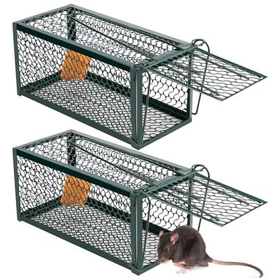 Humane Rat Trap Chipmunk Rodent Trap Mouse Trap Squirrel Trap Small Live  Animal Trap Mouse Voles Hamsters Live Cage Rat Mouse Cage Trap for Mice  Easy