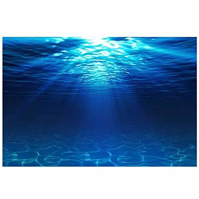 AWERT 48x24 inches Underwater Aquarium Background Coral Reef Undersea Fish Tank  Background Polyester Background - Yahoo Shopping