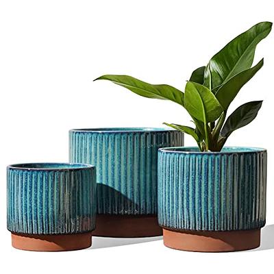 2 Pcs Orchid Pot Extra Large Pots Trees Planting Plastic Indoor Planters  Flower Nursery - AliExpress