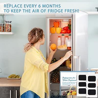 Frigidaire PureAir Ultra II 6-Month Refrigerator Air Filter Replacement -  PAULTRA2