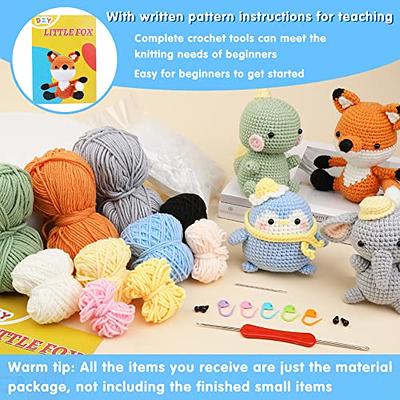 DIY Mini Crochet Kit, Beginner Crochet Kit All Ages, Includes Yarn