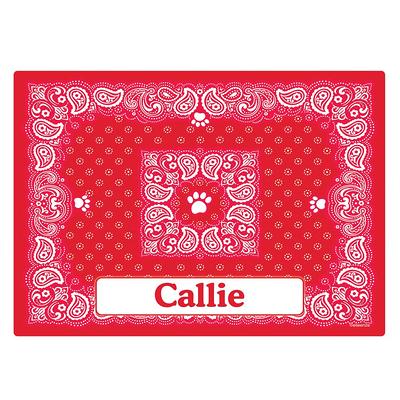 Drymate Cat Litter Mat