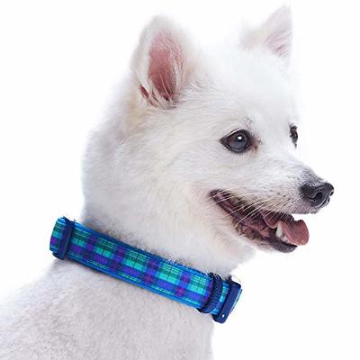 Breakaway Cat Collar With Bell Plaid Dog Collar Boy Preppy 