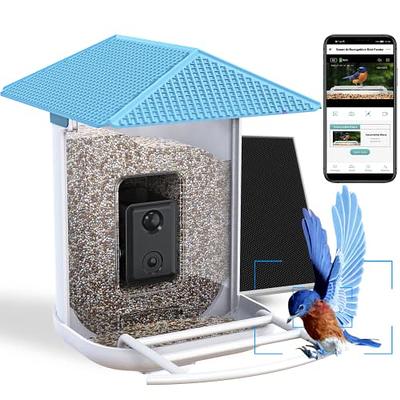 Bird Buddy Smart Bird Feeder Identifies Your Bird Friends Using AI