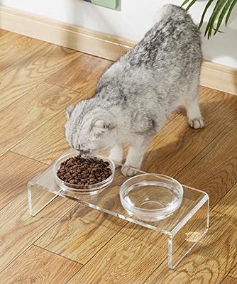 Dog and Cat Bowls Elevated Set - Acrylic Feeder Stand with 2 Set Removable  Stainless Steel and Glass Bowls Food and Water Raised Dishes for Small