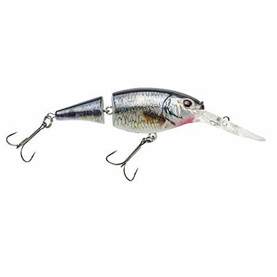 Berkley Flicker Shad Jointed Fishing Lure, HD Spottail Shiner, 1/3 oz, 2  3/4in  7cm Crankbaits, Size, Profile and Dive Depth Imitates Real Shad,  Equipped with Fusion19 Hook - Yahoo Shopping