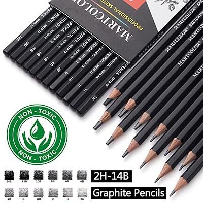 Professional Drawing Sketching Pencil Set - 12 Pieces Drawing Art Pencils  (8B - 2H) Graphite Shading Pencils for Beginners & Pro Artists 