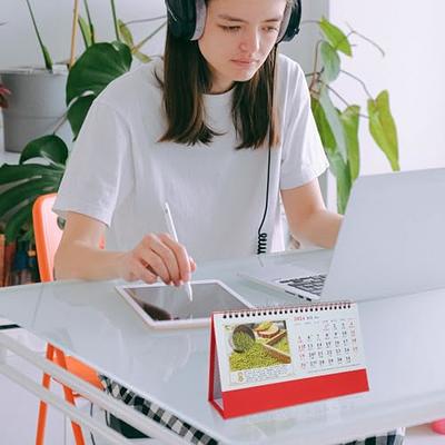  Wall Calendar 2024 Year of Dragon Hanging Calendar Traditional  Chinese Lunar Calendar Feng Shui Calendar Monthly Schedule Agenda Planner  for New Year Decoration Hanging Calendar : Office Products