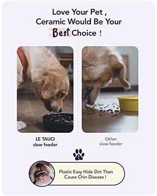 Best Slow-Feeder Bowls For Dogs Who Eat Fast