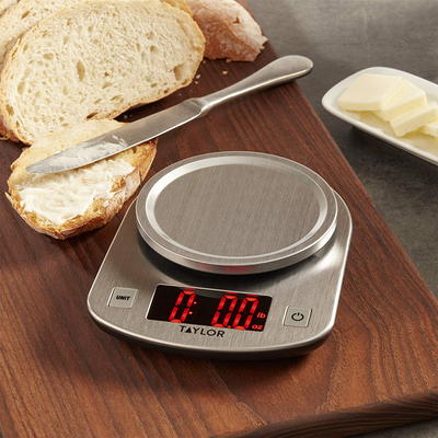 Taylor Stainless Steel Digital Scale