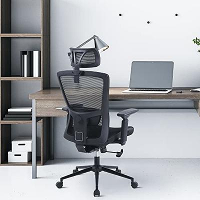 Sytas Home Office Chair Ergonomic, Mesh Desk Chair Lumbar Support,  Ergonomic Computer Chair Adjustable Armrest