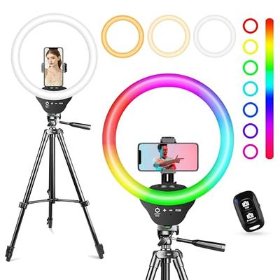 NEEWER 2 Pack Bi Color 660 LED Video Light and Stand Kit: (2) 3200-5600K  CRI 96+ Dimmable Light with U Bracket and Barndoor, (2) 75 inches Light  Stand