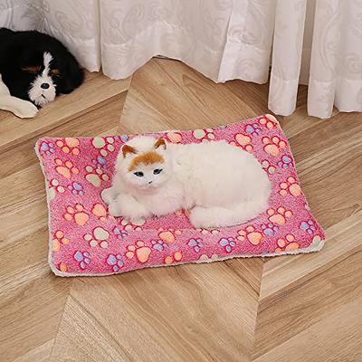 Cozy Calming Cat Blanket