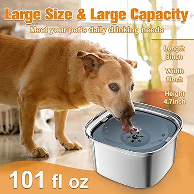 LIDLOK Dog Food Water Bowls Set,No Spill Dog Water Bowl,Mess Free Pet Food Bowl for Small Dogs/Cats,2 Pack Stainless Steel Bowls,Metal Pet Water