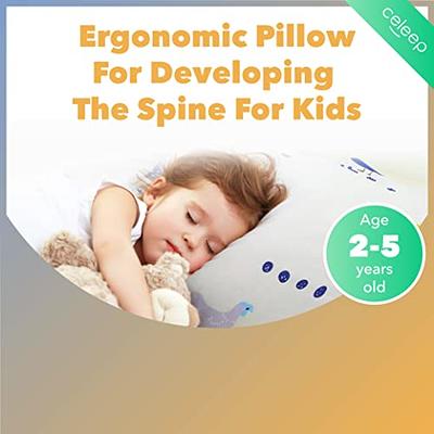 Bab Toddler Pillow,13 x 18 Inch Kids Pillows for Sleeping,1 PACK