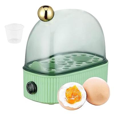 Electric Egg Cooker & Mini Steamer