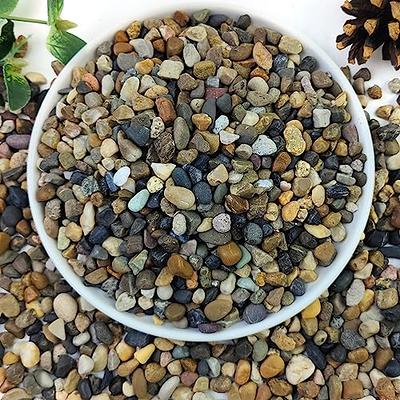 YISZM 20lbs Natural River Rocks, 1/4 Aquarium Gravel Small Rocks