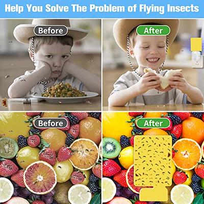 Safer Home Indoor Plug-In Fly Trap or Refills for Flies Fruit Flies Moths  Gnats