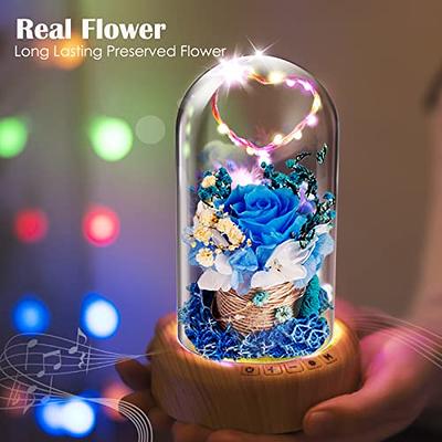 SWEETIME Blue Rose Lamp Real Preserved Rose in Glass Dome, Forever Flower  Night Light with Bluetooth Speaker, Eternal Flowers Rose Musical Box Gift  for Her on Mother's Day, Birthday, Valentine Day. 