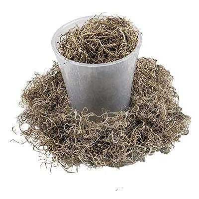 GARDENERA Natural Preserved Spanish Moss - Premium Filler for Potted Plants,  Hanging Baskets, Container Gardens and Terrariums (5 Quart) - Yahoo Shopping