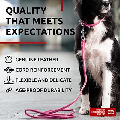 Leather Dog Leash 6ft ,Dog Collar and Leash Set,Soft and Comfortable Dog  Training Leather Leash and dog Walking Leash,Strong Braided Dog Collar and  Leash Set for Heavy Duty Dog,Large Medium Small Dogs 