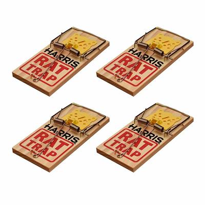 Harris Mouse Snap Trap (12-Pack)