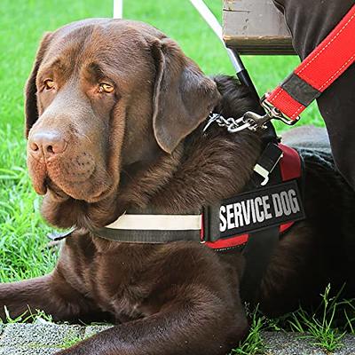 Embroidered Custom Service Dog Patch - 1.5 x 3.5