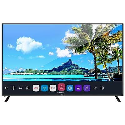 24 Inch 720P HD LED Smart TV (N24H-S1) Build-in WebOS System, HDMI ARC USB  Optical Ports, with TTS Function