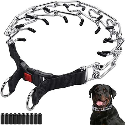 Martingale Dog Collar, Adjustable for Small, Medium, Large pet and