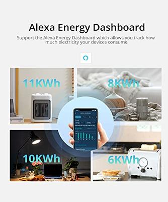 Smart Plug with Energy Monitoring | 15A Max / 10A Continuous | WiFi Smart  Outlet | Mobile App | Alexa | Google | ETL Certified (Package of 1)