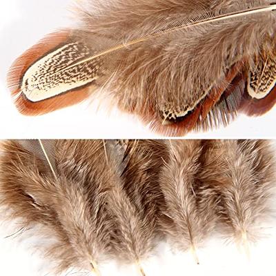 Brown Goose Feathers 5-7 12 Pc Wedding Millinery Crafts