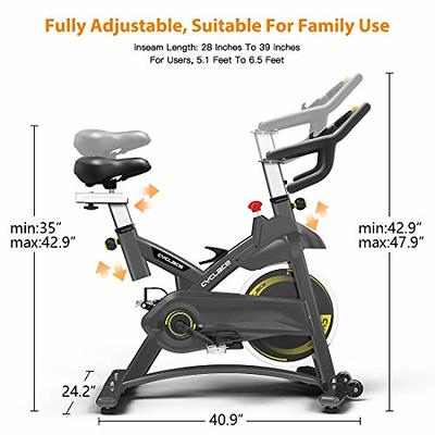 Cyclace Exercise Bike Stationary 330 Lbs Weight Capacity