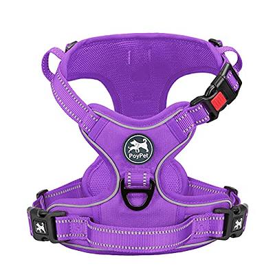 HALTI No Pull Harness - to Stop Your Dog Pulling on The Leash. Adjustable,  Lightweight and Easy to Use. Reflective Dog Training Harness for Large Dogs