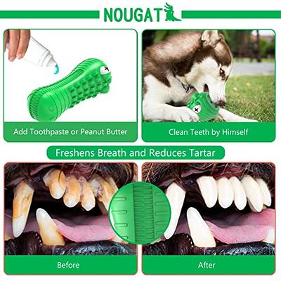 petizer Dog Toys for Aggressive Chewers, Non Squeak Dog Chew Toys,  Indestructible Dog Toys, Dog Teething Toys Made with Nylon and Rubber for