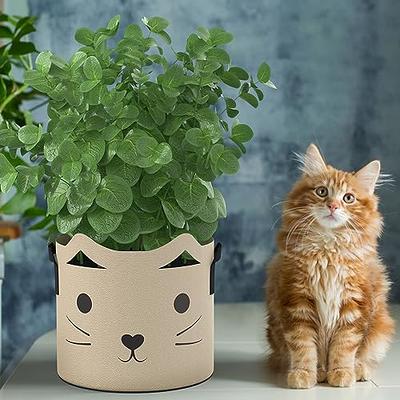 STFXMY 5 Gallon Plant Grow Bags - Cute Cat Design Grow Bags, Heavy Duty  Thickened Nonwoven Fabric Plant Pots with Handles, Planting Containers for  Potato Carrot Onion Vegetable Flower, 5-Pack - Yahoo Shopping