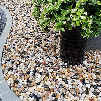 YISZM 10lbs Natural River Rocks, 1/4 Aquarium Gravel Small Rocks for  Plants Pea Gravel for Fish Tank, Decorative Pebbles for Gardening, Flower  Pots, Vase Fillers, Indoor Water Fountains, Landscaping - Yahoo Shopping